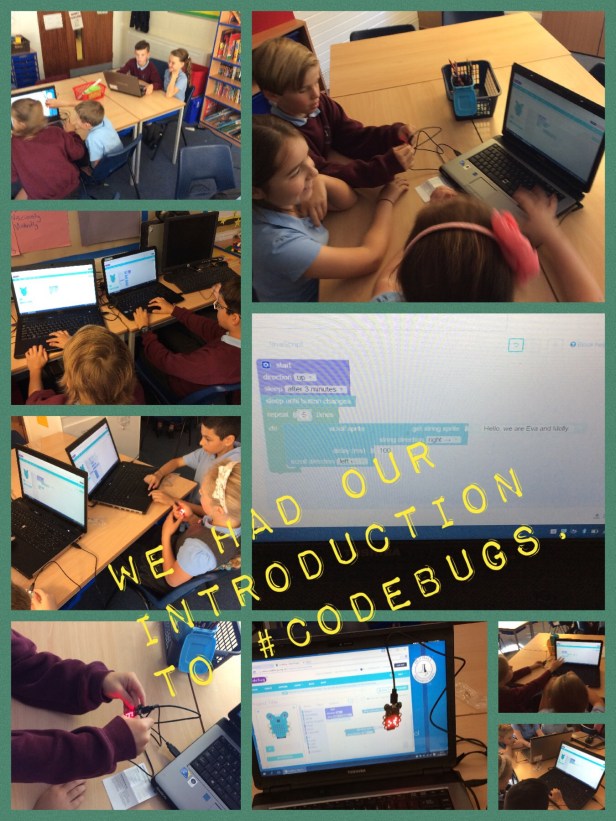 Year 5 Codebugs